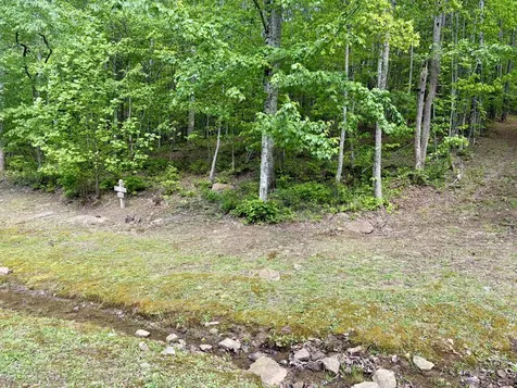 0 Raulston Falls Road Jasper TN 37347