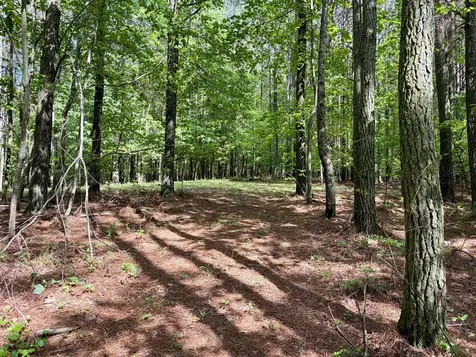 0 Raulston Falls Road Jasper TN 37347