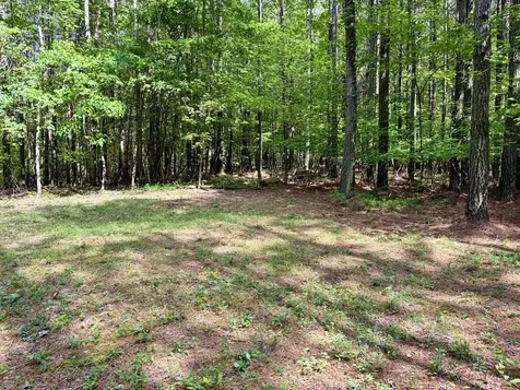 0 Raulston Falls Road Jasper TN 37347