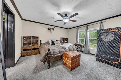 195 Roddy Springs Road Tracy City TN 37387