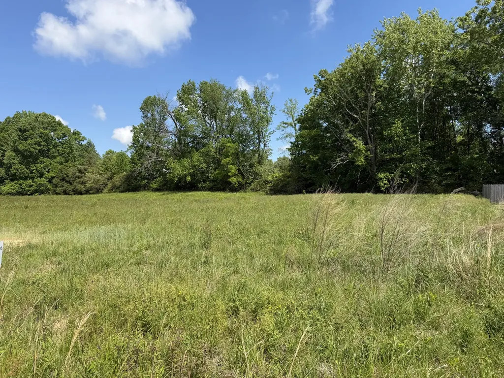 141 Reece Road Baxter TN 38544