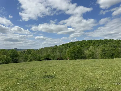 341 Horseshoe Bend Lane Elmwood TN 38560