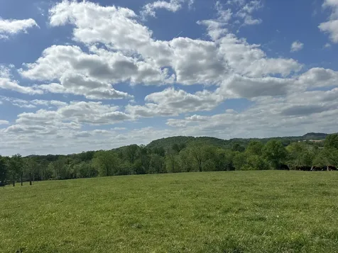 341 Horseshoe Bend Lane Elmwood TN 38560