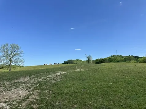 341 Horseshoe Bend Lane Elmwood TN 38560