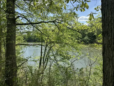 341 Horseshoe Bend Lane Elmwood TN 38560