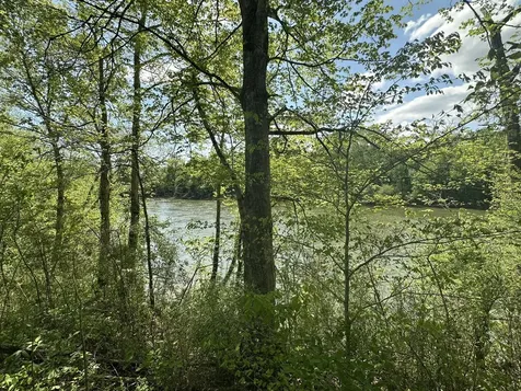 341 Horseshoe Bend Lane Elmwood TN 38560