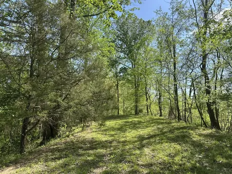 341 Horseshoe Bend Lane Elmwood TN 38560
