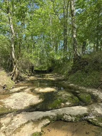 341 Horseshoe Bend Lane Elmwood TN 38560