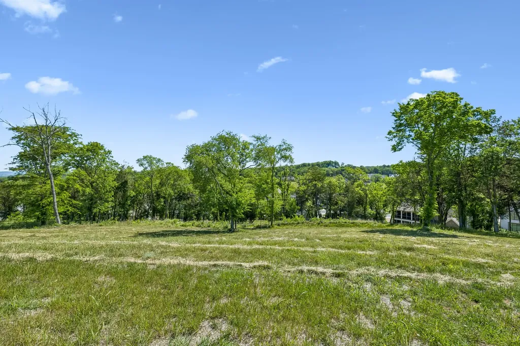 9120 Sawtooth Lane College Grove TN 37046