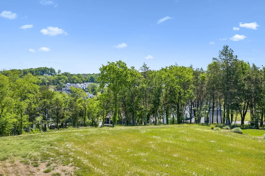 9120 Sawtooth Lane College Grove TN 37046