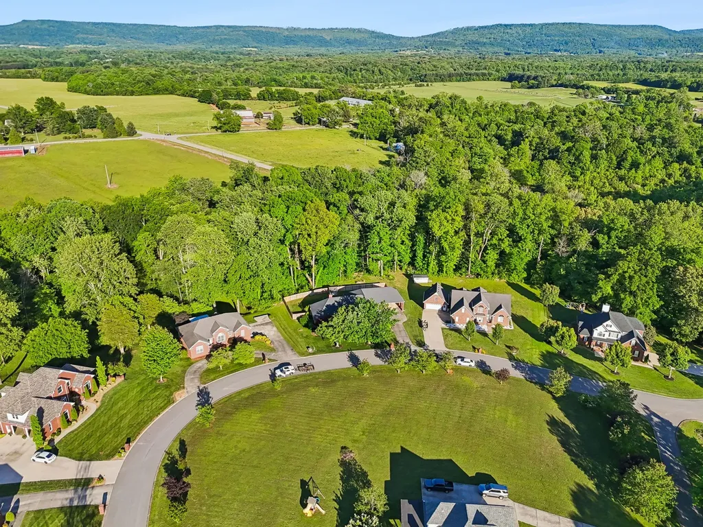 46 Deerfield Court Mcminnville TN 37110