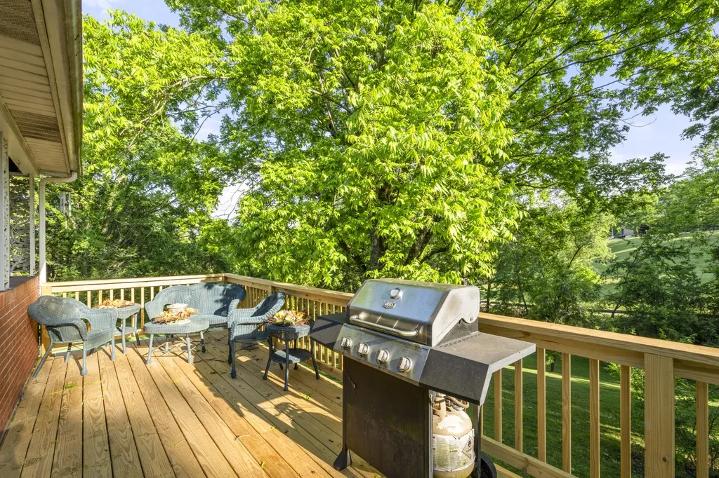 134 Murphree Avenue Centerville TN 37033