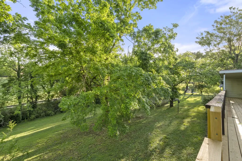 134 Murphree Avenue Centerville TN 37033