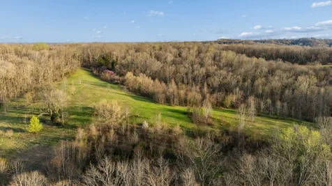 697 Johnson Branch Road Williamsport TN 38487