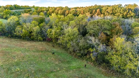 697 Johnson Branch Road Williamsport TN 38487