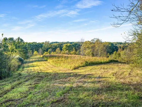697 Johnson Branch Road Williamsport TN 38487