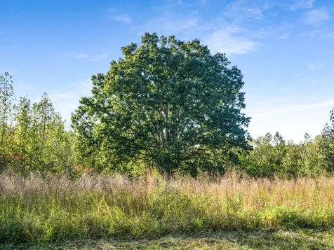 683 Johnson Branch Road Williamsport TN 38487