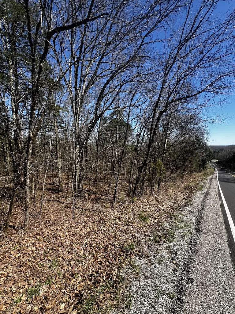 0 Anderson Lane Chapel Hill TN 37034