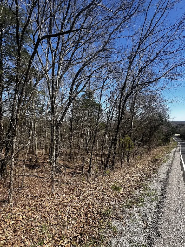 0 Anderson Lane Chapel Hill TN 37034
