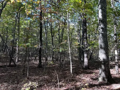 0 Cooleys Rift Boulevard Monteagle TN 37356