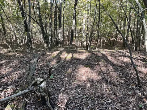 0 Cooleys Rift Boulevard Monteagle TN 37356
