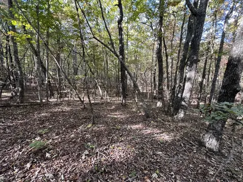 0 Cooleys Rift Boulevard Monteagle TN 37356
