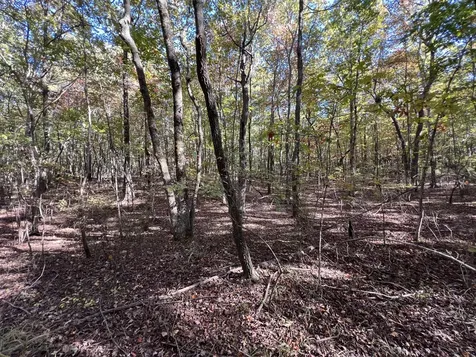0 Cooleys Rift Boulevard Monteagle TN 37356