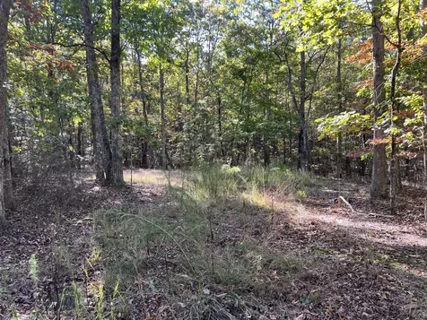 0 Cooleys Rift Boulevard Monteagle TN 37356