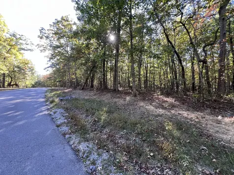 0 Cooleys Rift Boulevard Monteagle TN 37356