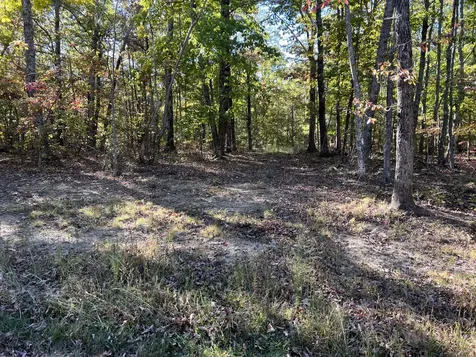 0 Cooleys Rift Boulevard Monteagle TN 37356