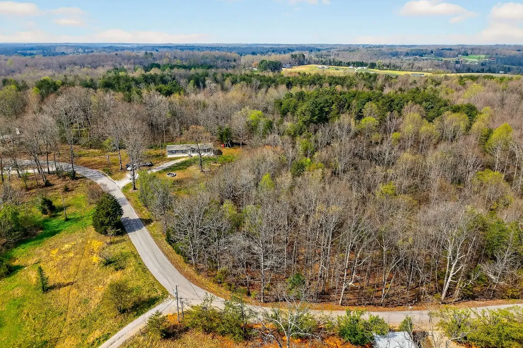 550 Center Point Acres, N Walling TN 38587