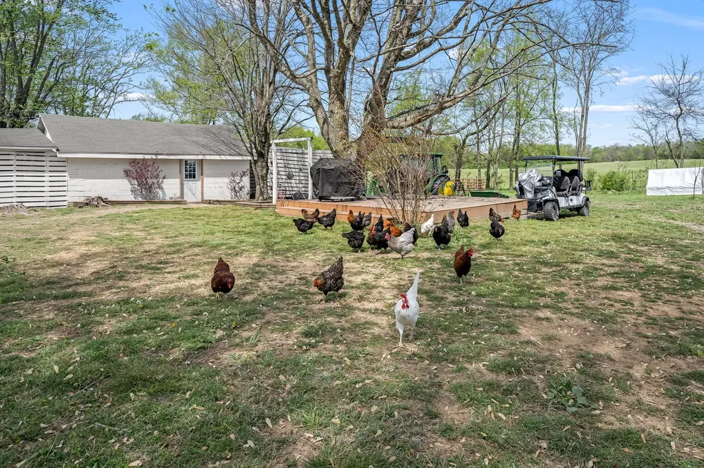 1146 Highway 64, W Shelbyville TN 37160