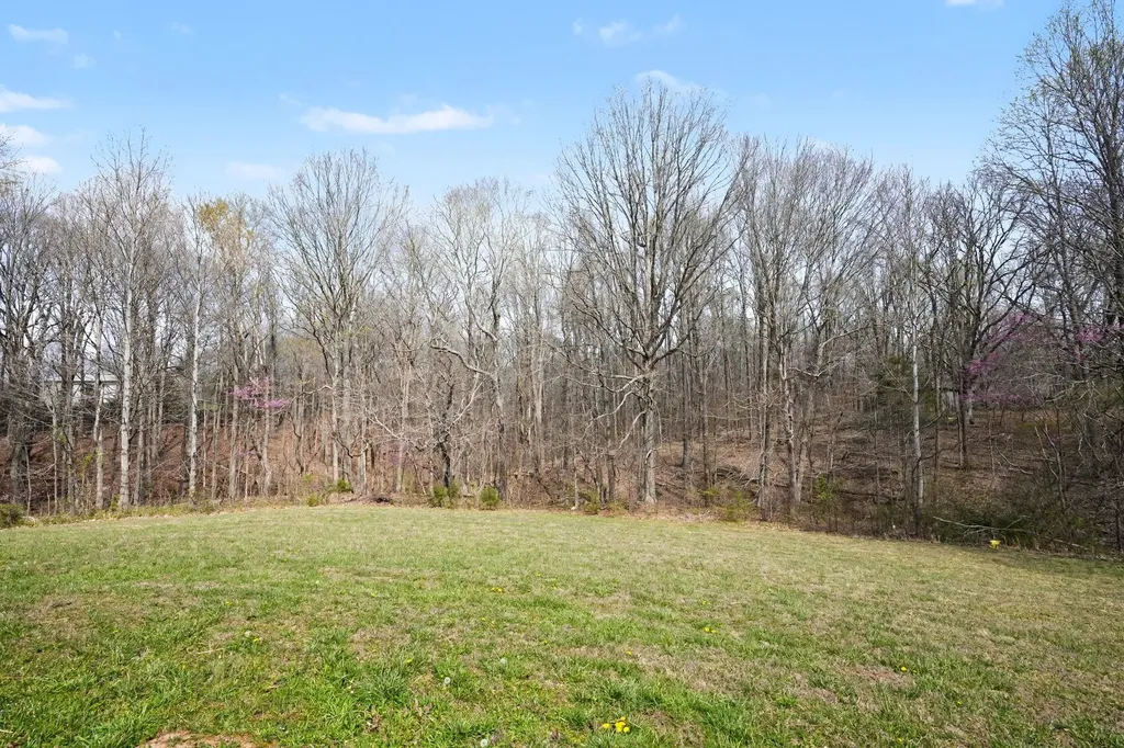 11948 Betts Road Greenbrier TN 37073