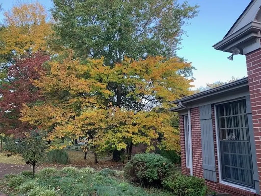 1037 Rolling Fields Circle Columbia TN 38401