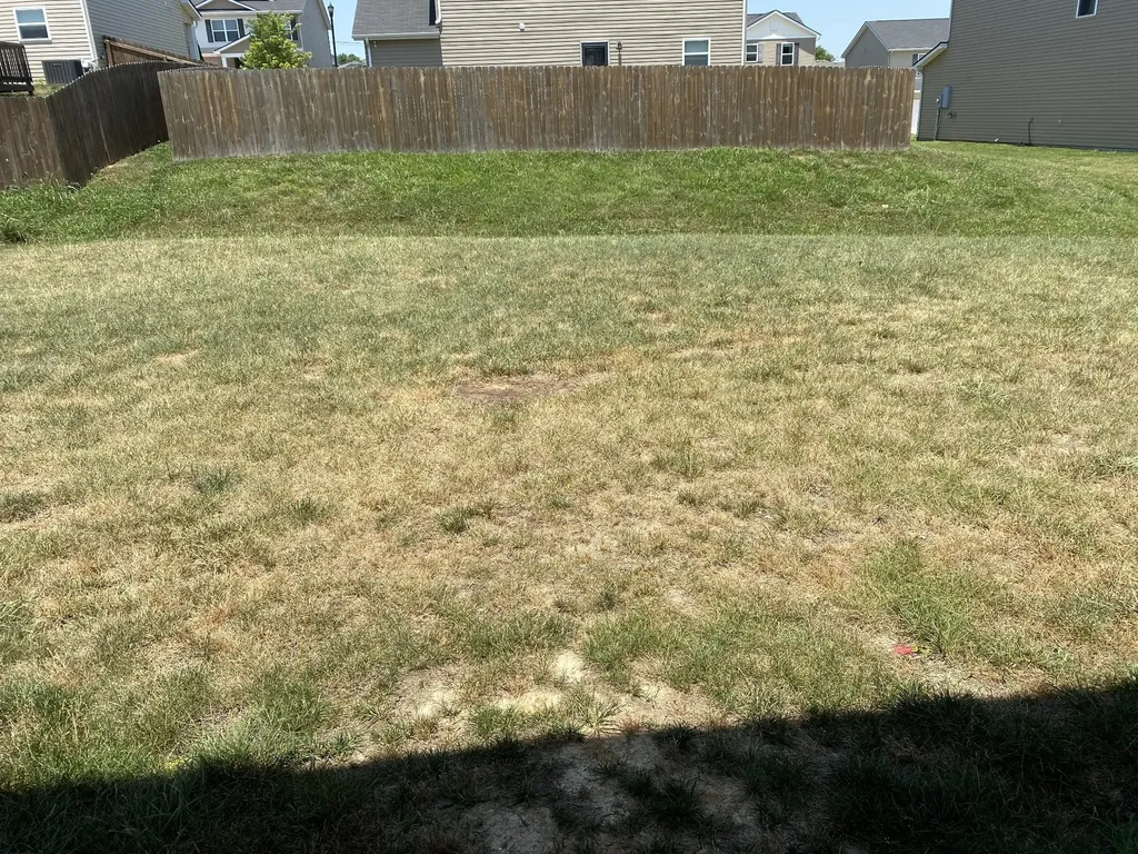2308 Bee Hive Drive Columbia TN 38401