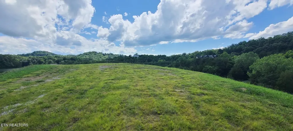 0 Very Old Barton Trail Dandridge TN 37725