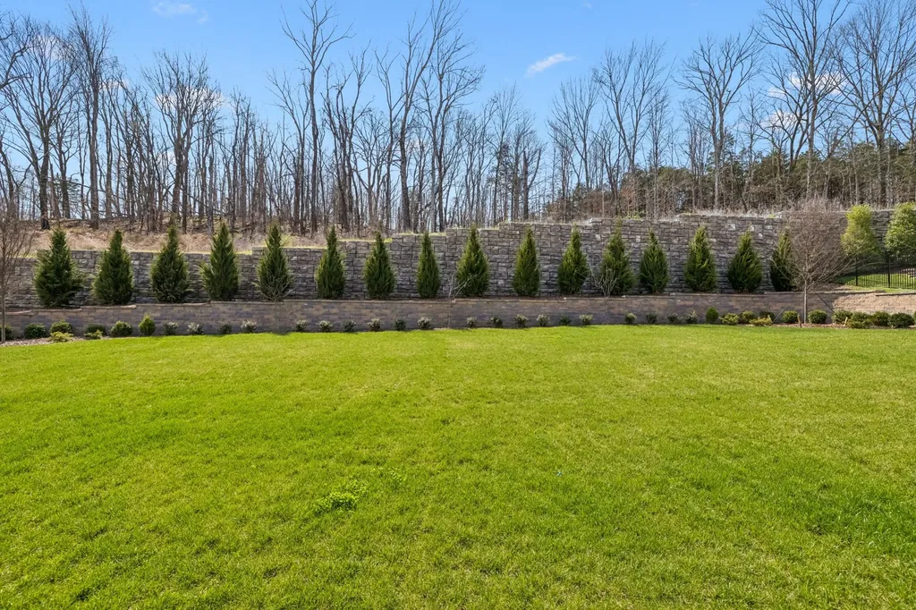 9289 Double Run Court College Grove TN 37046