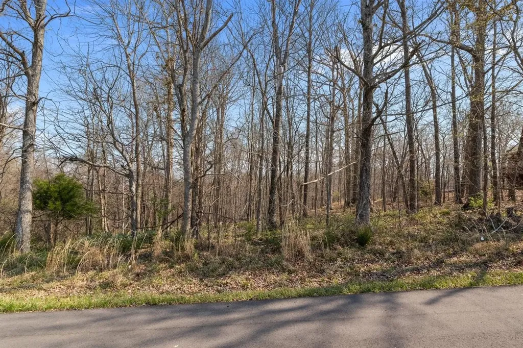 510 Big Richland Drive Waverly TN 37185