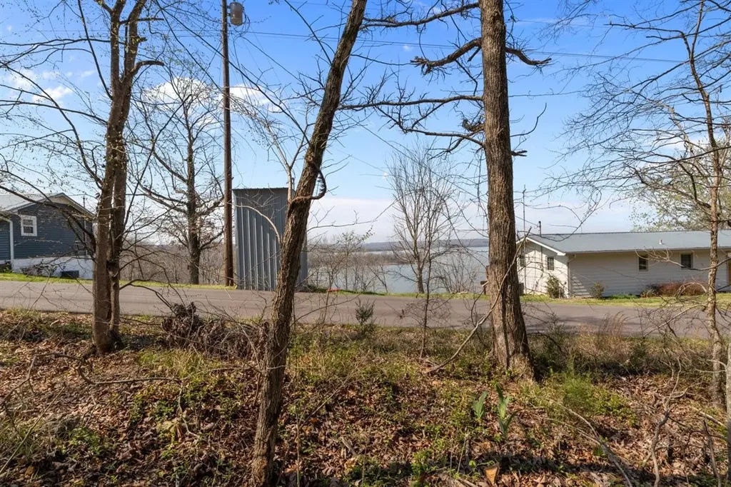 510 Big Richland Drive Waverly TN 37185
