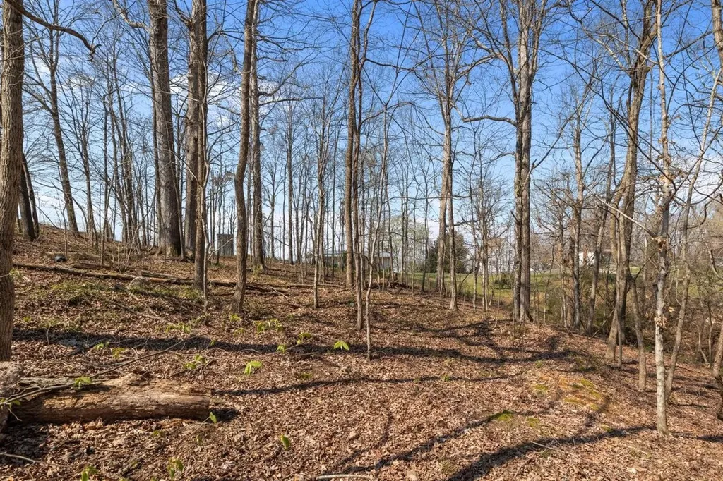 510 Big Richland Drive Waverly TN 37185