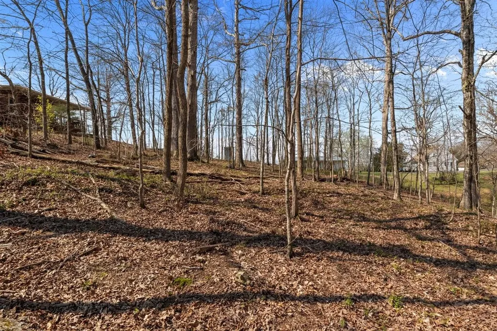 510 Big Richland Drive Waverly TN 37185