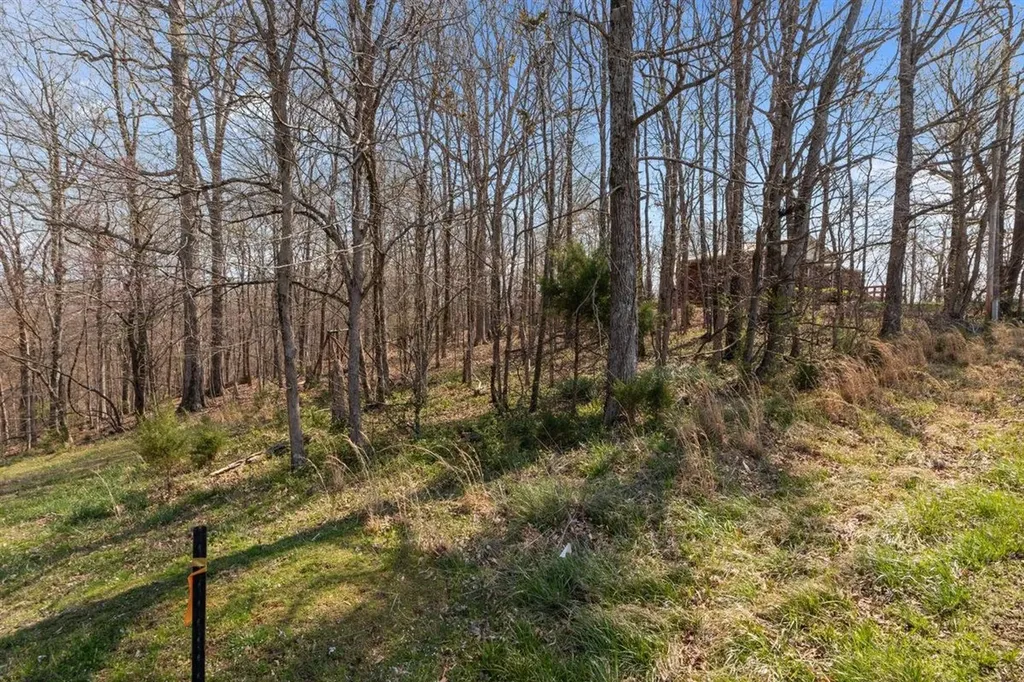 510 Big Richland Drive Waverly TN 37185