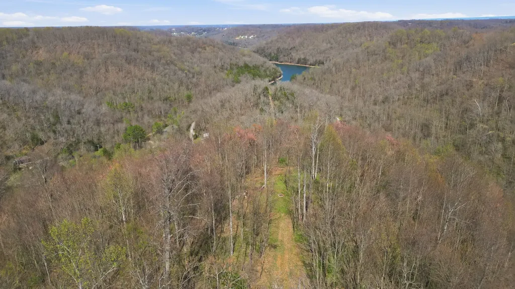 0 Halls Hill Road Smithville TN 37166