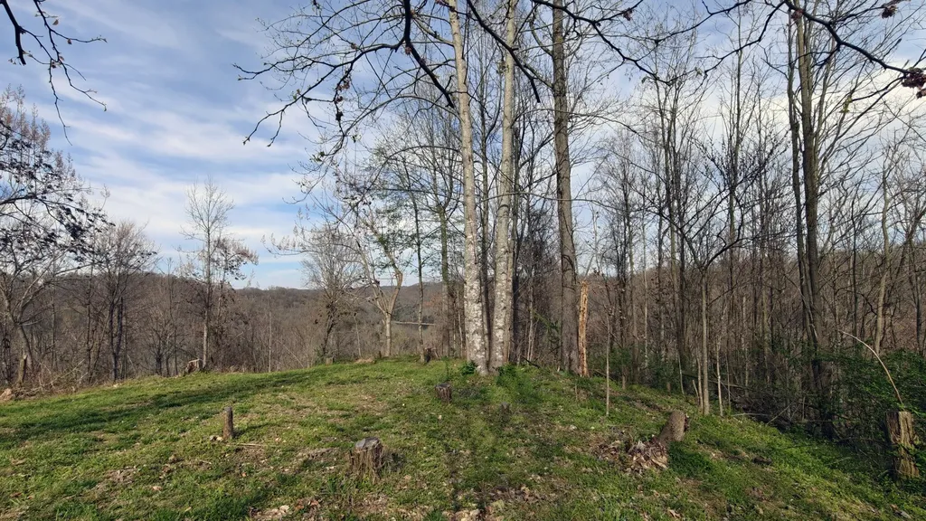 0 Halls Hill Road Smithville TN 37166