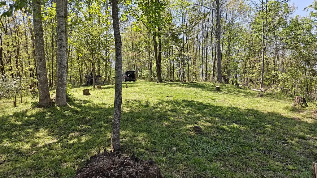 0 Halls Hill Road Smithville TN 37166