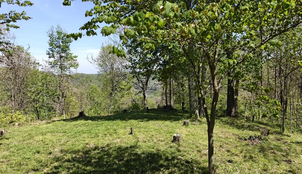 0 Halls Hill Road Smithville TN 37166