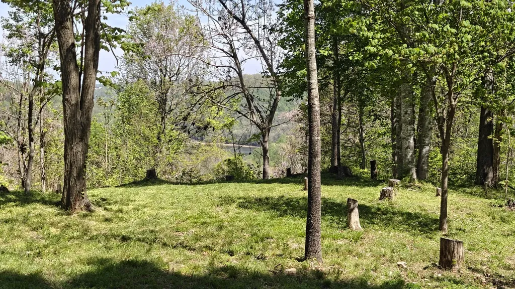 0 Halls Hill Road Smithville TN 37166