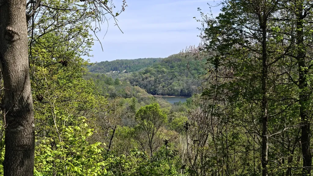 0 Halls Hill Road Smithville TN 37166