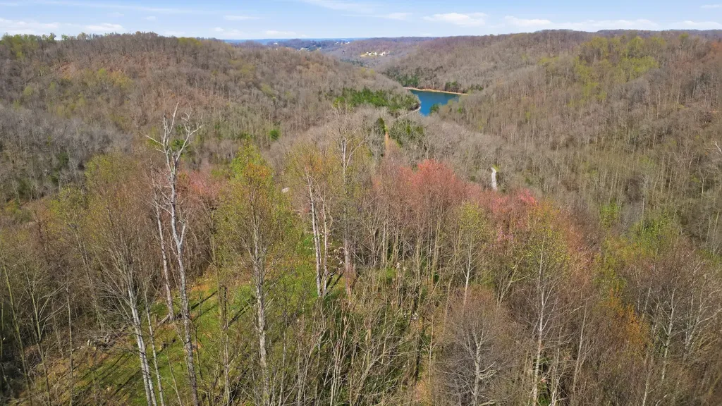 0 Halls Hill Road Smithville TN 37166