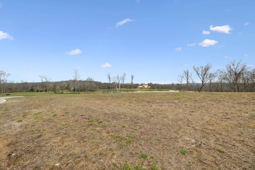 8410 Six String Drive College Grove TN 37046